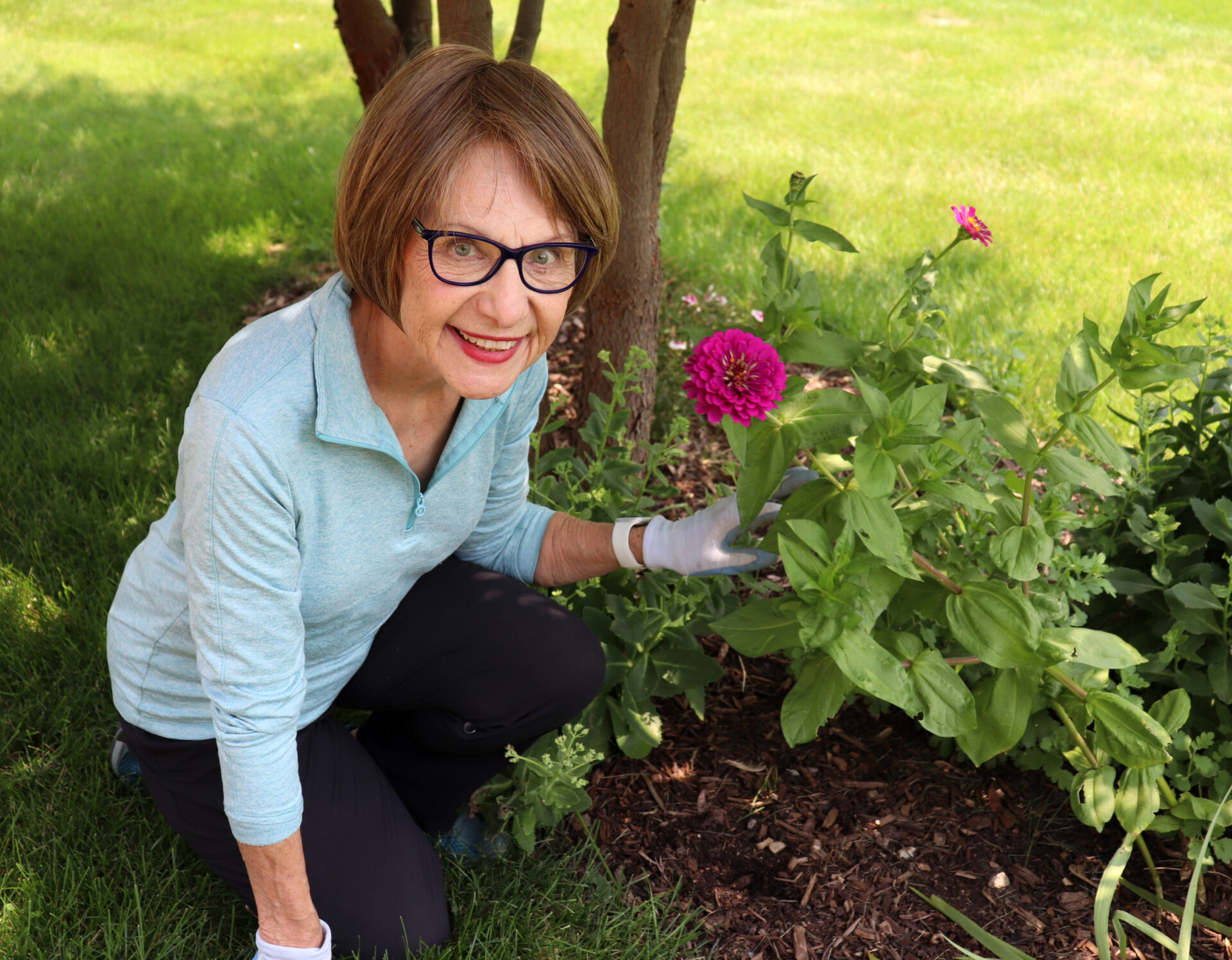 Linda Robertson Gardening
